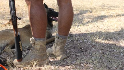 Les rangers du Parc national du Kruger sont armés et accompagnés de chiens malinois pour lutter contre le braconnage (RADIO FRANCE / Liza Fabbian)