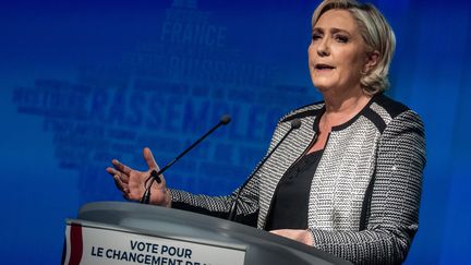 Marine Le Pen fait un discours&nbsp;à Lyon,&nbsp;le 1er juin 2018. (NICOLAS LIPONNE / NURPHOTO / AFP)