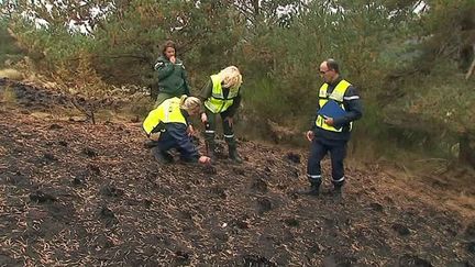 Des enquêteurs cherchent l'origine d'un incendie&nbsp;à Dourbies, dans le&nbsp;Gard, en août 2017. (FRANCE 3)