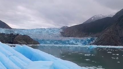 Alaska : le merveilleux sanctuaire des baleines à bosse