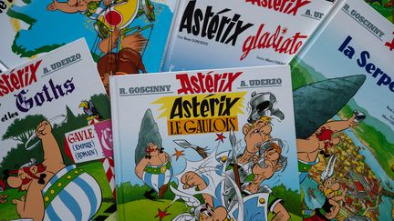 Des albums d'Astérix, en mars 2020. (RICCARDO MILANI / HANS LUCAS / AFP)