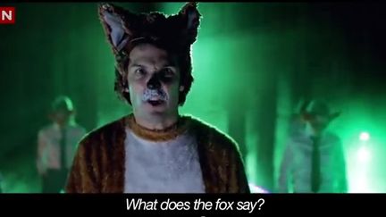 La vidéo "The Fox" ("le  renard") la plus populaire de l'année sur YouTube
 (DR)