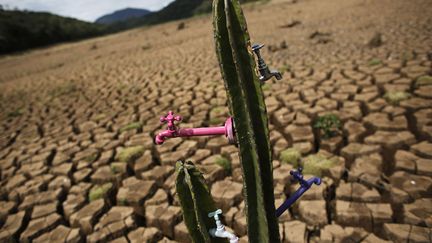 Une oeuvre de l'artiste br&eacute;silien Mundano est install&eacute;e dans le barrage ass&egrave;ch&eacute; d'Atibainha pr&egrave;s de Sao Paulo (Br&eacute;sil), le 2 d&eacute;cembre 2014. (NACHO DOCE / REUTERS)