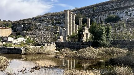 Site de la ville gréco-romaine de Cyrène (Shahhat) dans l'est de la Libye au lendemain des ravages provoqués par la tempête méditerranéenne "Daniel ", photo publiée sur le compte de Claudia Gazzini, analyste d'International Crisis Group, sur la plateforme X  le 17 septembre 2023 (AFP / UGC)