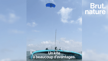 Leur but : équiper des grands cargos de 400 mètres avec un système de voile pour tracter le navire et ainsi réduire la consommation de carburant et la pollution des eaux. Pour Brut, Yves Parlier, skipper, ingénieur et fondateur de Beyond the Sea Yves Parlier et son équipe expliquent cette technologie.