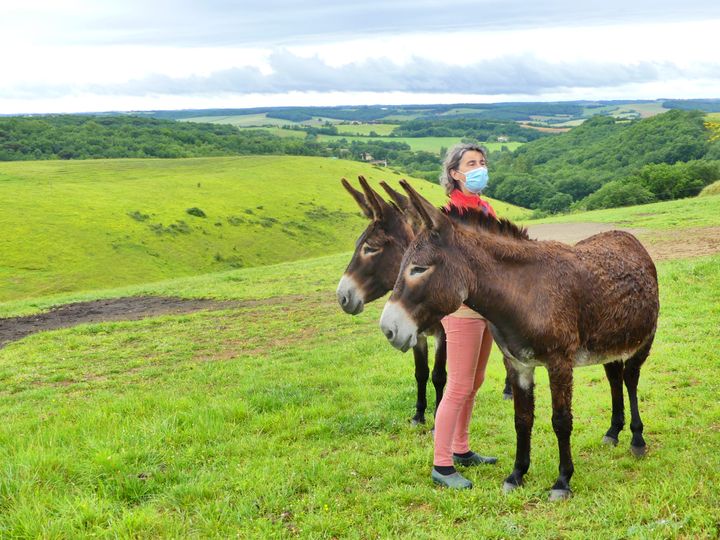 A un quart d'heure environ d’Auch en voiture, au cœur du vallon gersois, on rejoint les ânes de la ferme du Hitton, à Biran. (OFFICE DE TOURISME GRAND AUCH COEUR DE GASCOGNE)