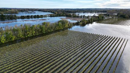 The Charente in flood in Bassac on November 8, 2023. (RENAUD JOUBERT / MAXPPP)