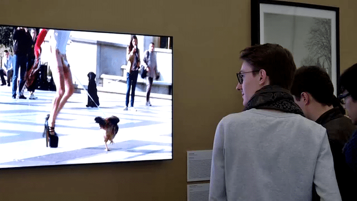 Performance de Steven Cohen au Trocadéro le 10 septembre 2013
 (France 3 / Steven Cohen)