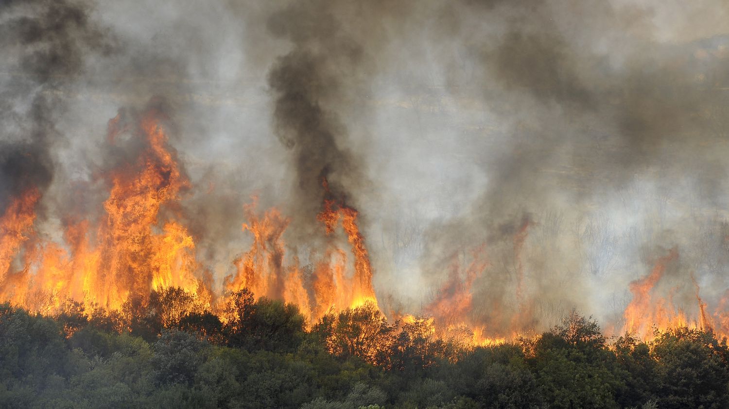 26 persone sono morte a causa degli incendi che hanno colpito 14 dipartimenti, secondo il ministro dell’Interno algerino