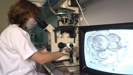 Un technicienne du service de biologie de la reproduction de l'H&ocirc;pital de la Conception, &agrave; Marseille, au cours d'un programme de procr&eacute;ation m&eacute;dicale assist&eacute;e. (ANNE-CHRISTINE POUJOULAT / AFP)