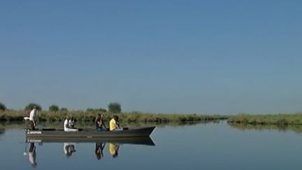 Le parc naturel r&eacute;gional du marais de Bri&egrave;re, en Loire-Atlantique. (CAPTURE D'ÉCRAN FRANCE 3)