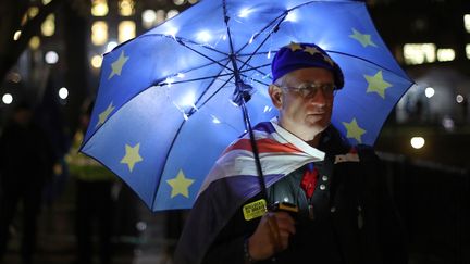 Un partisan du maintien du Royaume-Uni dans l'Union européenne, à Londres, le 14 janvier 2019. (DANIEL LEAL-OLIVAS / AFP)