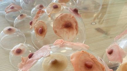 Les prothèses de mamelons en silicone lors de la phase de séchage, fabriqués par "The Nipples Lab". (Aude Lambert / FRANCEINFO)