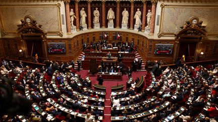 Le Sénat, le 2 octobre 2023, à Paris. (THOMAS SAMSON / AFP)