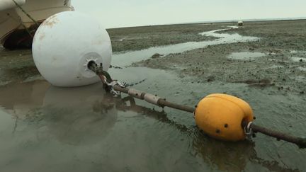 Les mouillages en test ont un cordage en textile avec des boules intermédiares pour ne pas abîmer les herbiers&nbsp; (France 3 Poitou-Charentes)