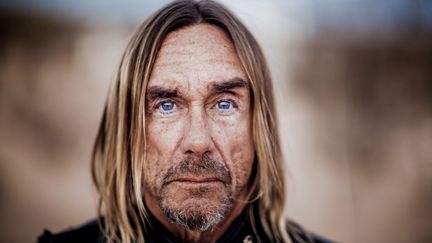 Iggy Pop dans le désert californien, en 2015, durant l'enregistrement de son album "Post Pop Depression".
 (Andreas Neumann)