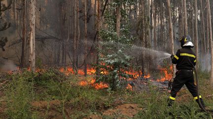 Un pompier tente d'éteindre un feu de forêt à Santa Juana (Chile), le 6 février 2023. (JAVIER TORRES / AFP)