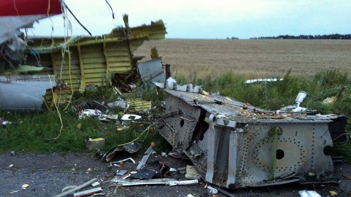 Des d&eacute;bris du Boeing 777 qui s'est &eacute;cras&eacute; avec 295 personnes &agrave; bord, jeudi 17 juillet, dans l'est de l'Ukraine. (DOMINIQUE FAGET / AFP)