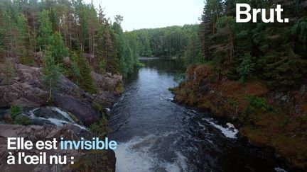 Elle est invisible à l'oeil nu. Pourtant, la pollution aux médicaments, pesticides et hormones envahit les cours d'eau.