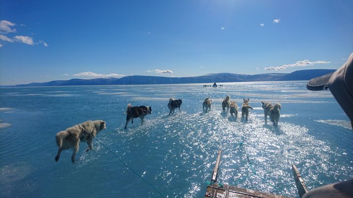 Une équipe de scientifiques a traversé un fjord du Gröenland inondé jeudi 13 juin 2019. (STEFFEN M. OLSEN)