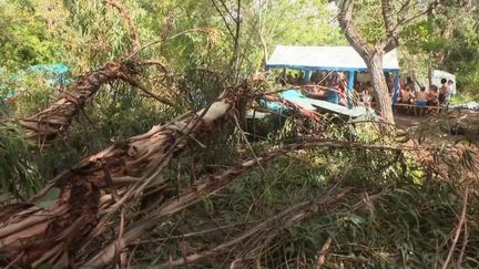 Orages en Corse : une nouvelle alerte météo pour la nuit prochaine (FRANCE 2)