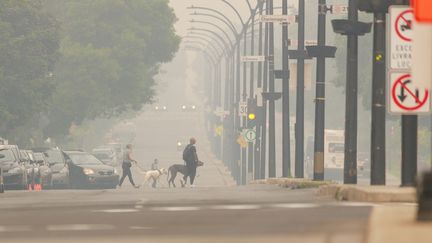 À plusieurs centaines de kilomètres des brasiers, un smog apparaît suite aux feux de forêt qui font rage au Québec, juin 2023, Canada. (DAVID HIMBERT / HANS LUCAS)