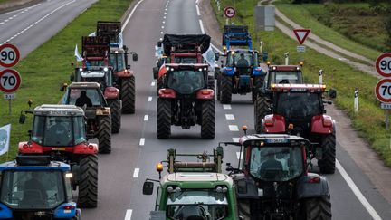 Un convoi de tracteur partira lundi 25 novembre 2024 après-midi de Haute-Saône direction Strasbourg (photo d'illustration). (JEAN-FRANCOIS FERNANDEZ / RADIO FRANCE)