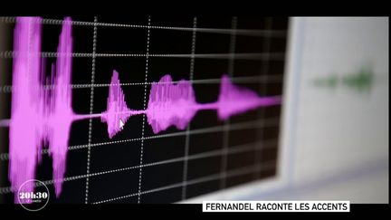 VIDEO. "Les accents sont des traces de langues qui ont été parlées sur le territoire", selon un chercheur du Laboratoire Parole et Langage d'Aix-en-Provence