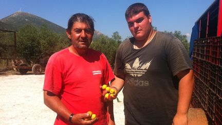  (Deux producteurs d'abricots de Klenia, village du Péloponèse © RF/Célia Quilleret)