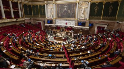 Une vue générale de l'hémicycle lors de l'ouverture des débats sur la réforme des retraites, lundi 17 février 2020 à l'Assemblée nationale. (DOMINIQUE BOUTIN / SPUTNIK / AFP)