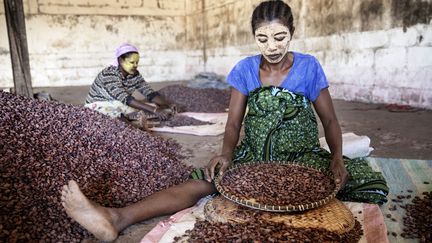 Feuilleton : la fève blanche de Madagascar (1/5)