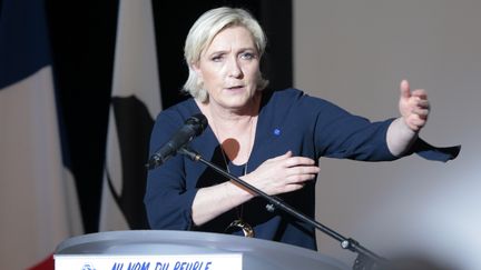 La candidate du Front national, Marine Le Pen, en meeting à Ajaccio (Corse-du-Sud), le 8 avril 2017. (PASCAL POCHARD-CASABIANCA / AFP)