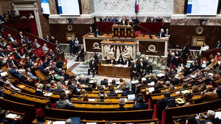 L'hémicycle de l'Assemblée nationale, le 13 février 2024. (ALEXIS SCIARD / MAXPPP)