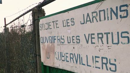 JO de Paris 2024 : à Aubervilliers, des familles se battent pour préserver leur jardin ouvrier (FRANCE 3)