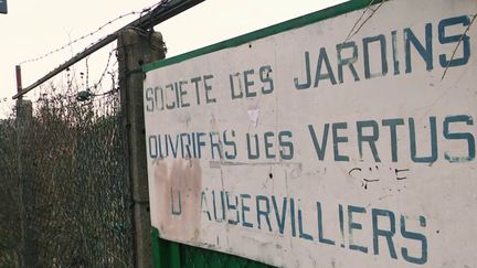 JO de Paris 2024 : à Aubervilliers, des familles se battent pour préserver leur jardin ouvrier