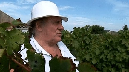 Gérard Depardieu dans ses vignes
 (France3/culturebox)