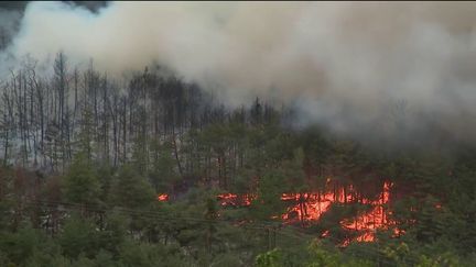 Incendie dans les Hautes-Alpes : des habitants évacués en urgence (France 2)