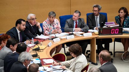 Les membres de la commission d'enquête du Sénat sur l'affaire Alexandre Benalla lors de l'audition de ce dernier, le 19 septembre 2018, au Sénat à Paris. (BERTRAND GUAY / AFP)