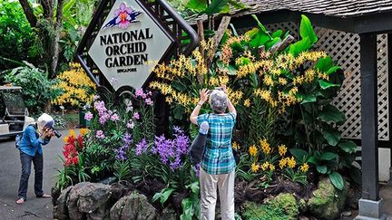 Le National orchid garden est l'attraction principale. Sur trois hectares s’étale une collection de plus de mille espèces hybrides et de deux milles orchidées.

Un lieu spécifique est consacré aux plus belles orchidées, dédiées à des célébrités comme la princesse Diana ou Nelson Mandela. (AFP PHOTO/ROSLAN RAHMAN)