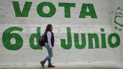 Les Mexicains appelés aux urnes le 6 juin 2021 pour&nbsp;"plus grand scrutin de l’Histoire du pays". (PEDRO PARDO / AFP)