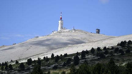 Tour de France : l'ascension du Mont Ventoux, une étape mythique