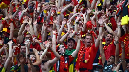 Des supporters belges lors du match de leur &eacute;quipe contre la Russie pendant la Coupe du monde &agrave; Rio de Janeiro (Br&eacute;sil), le 22 juin 2014. (GABRIEL BOUYS / AFP)