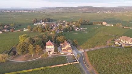 Côte-d’Or : les vignerons inquiets face à la hausse des prix de leurs terres