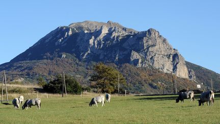 Le pic de Bugarach (Aude), le 7 novembre 2012. (ERIC CABANIS / AFP)