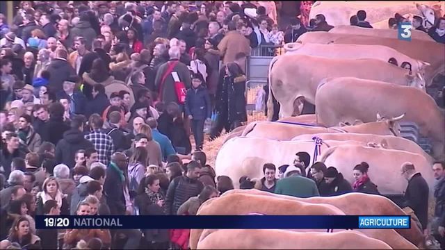 Salon De L'agriculture : L'heure Du Bilan