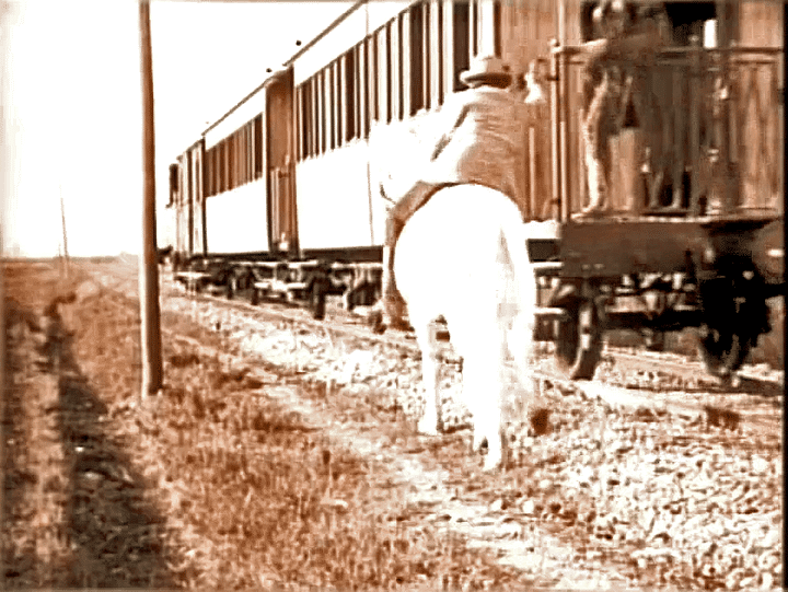 La Camargue sert pour la première fois de décor naturel au tournage des westerns
 (France 3 / Culturebox)