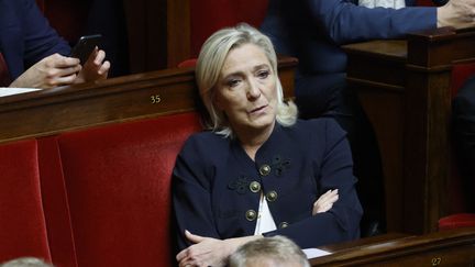 La députée Marine Le Pen sur les bancs de l'Assemblée nationale, le 14 novembre 2023. (LUDOVIC MARIN / AFP)