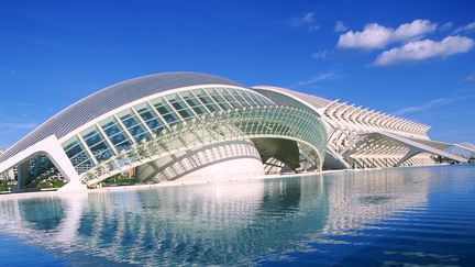 Le mus&eacute;e des sciences de la Cit&eacute; des arts et des sciences de Valence (Espagne) qui a co&ucirc;t&eacute; plus d'un milliard d&rsquo;euros. (GUILLAUME JIOUX / HEMIS.FR / AFP)