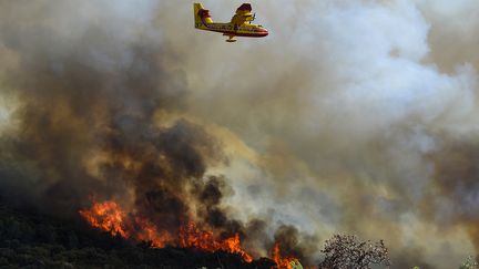 Un Canadair de la Sécurité civile largue de l'eau sur des forêts en feu près de Gignac, dans le sud de la France, le 26 juillet 2022. (SYLVAIN THOMAS / AFP)