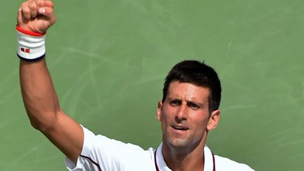 Novak Djokovic (STAN HONDA / AFP)